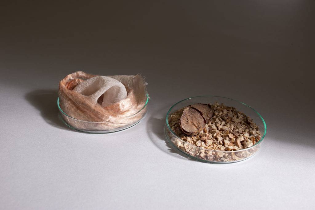 Raw natural materials and material samples in petri dishes