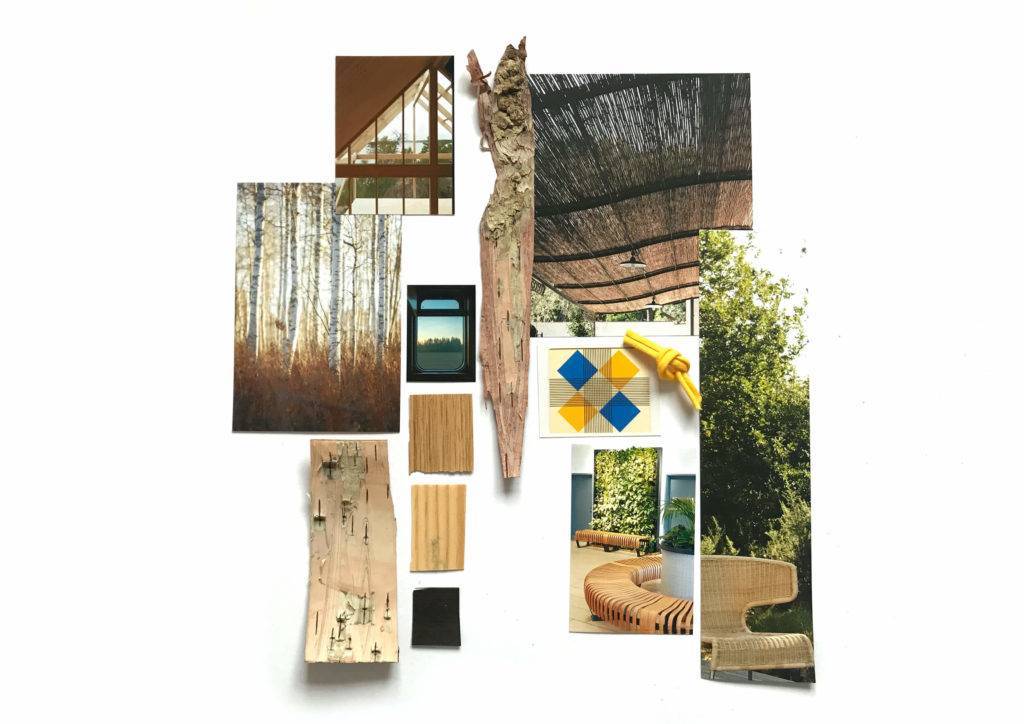 Moodboard showing images of wood, and different wood textures
