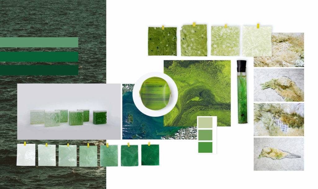 Moodboard showing shades of green, pictures of water and algae, and algae samples