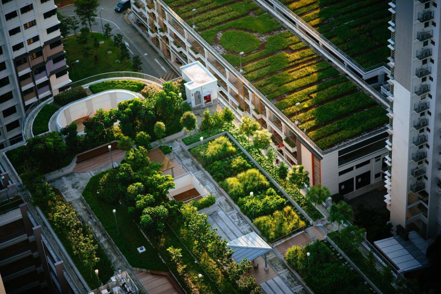 Rooftops covered in greenery, plant beds, grass and trees